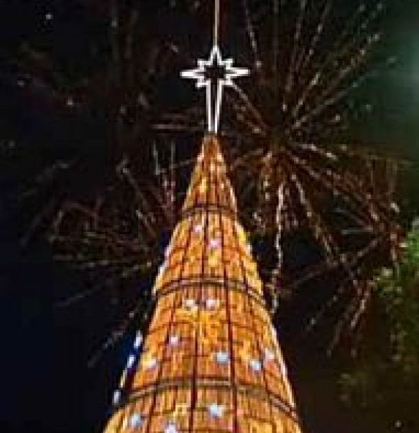 L’ALBERO DI NATALE PIU’ ALTO DEL MONDO