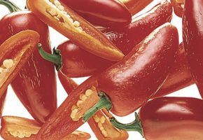 conosci i nostri chili