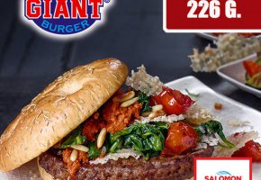 Hitburger giant 226 Salomon