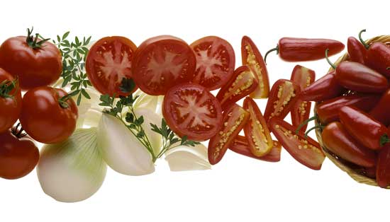 Ingredienti salse messicane