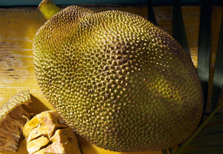 Jackfruit: la carne che cresce sugli alberi