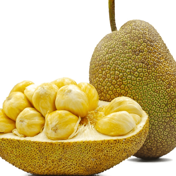 Jackfruit