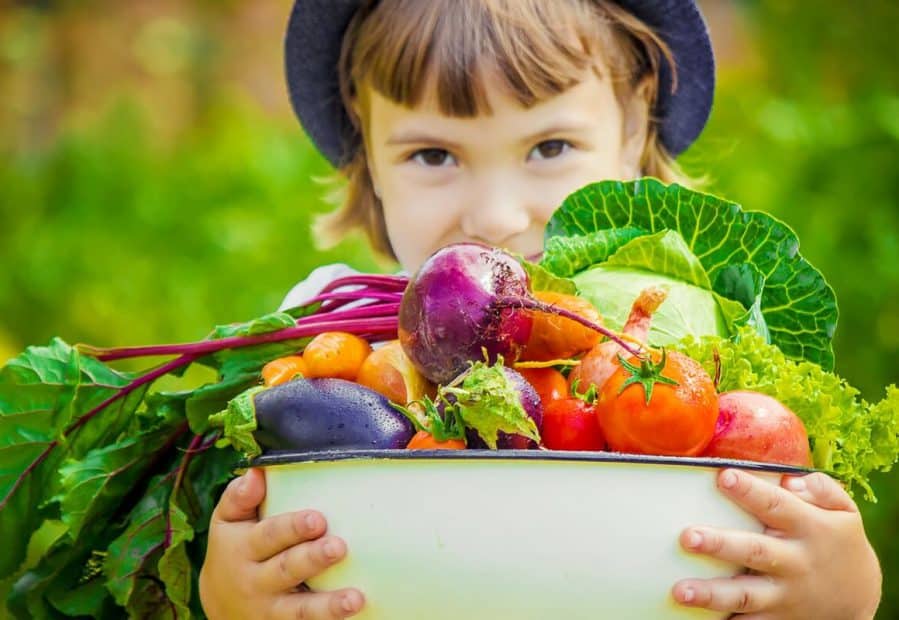Trend veg, la nuova tendenza della ristorazione